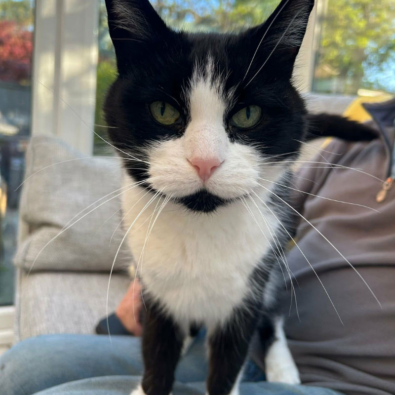 The Purrfect Father’s Day Gift