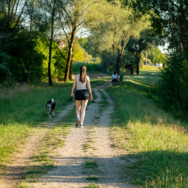 Let's Get Fit Together