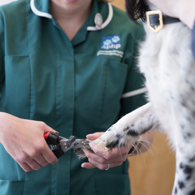 The Importance Of A Manicure!