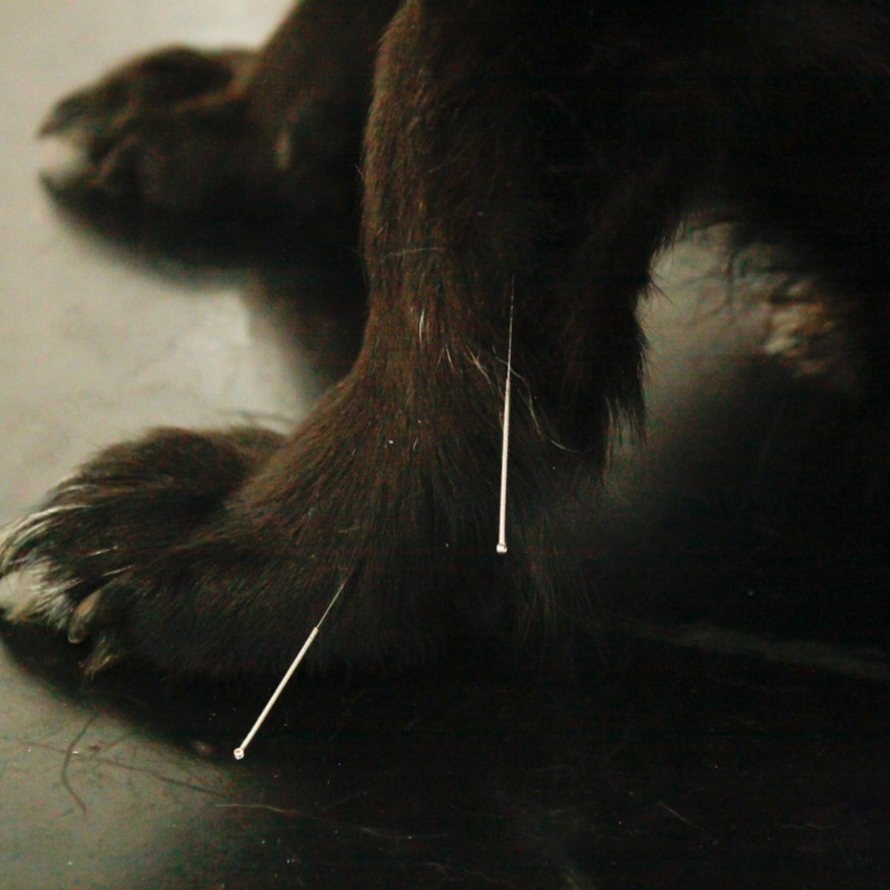 Taking The Pain Away – Treatment for Arthritis and Chronic Pain.