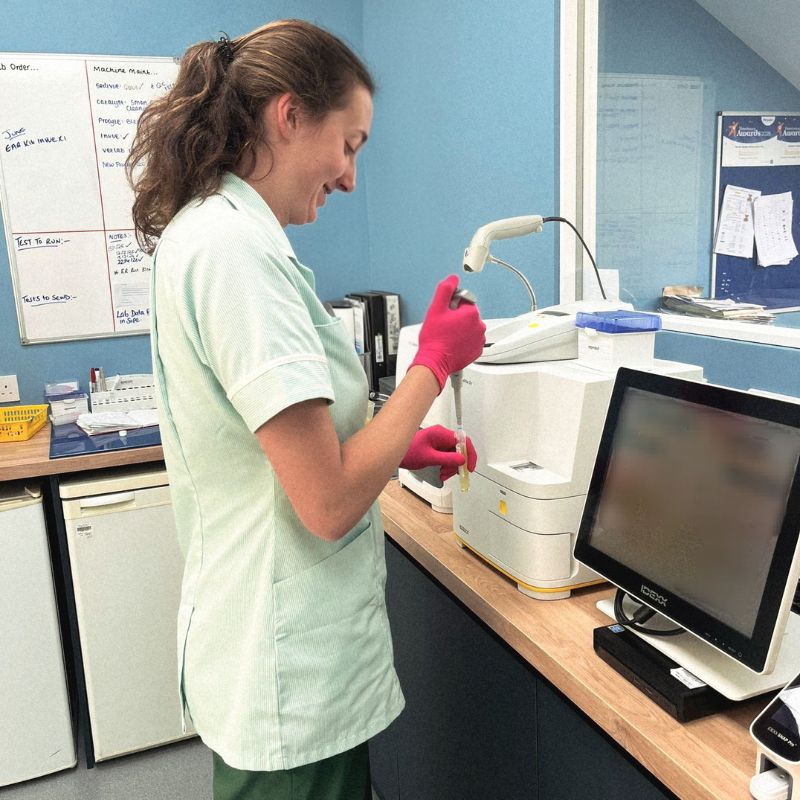 Urine – Why Do We Want Your Pet’s Urine And How You Get It!