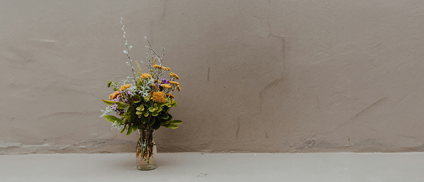 End Of Life Care & Saying Goodbye