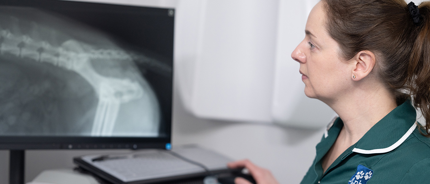 Imaging & X-Ray