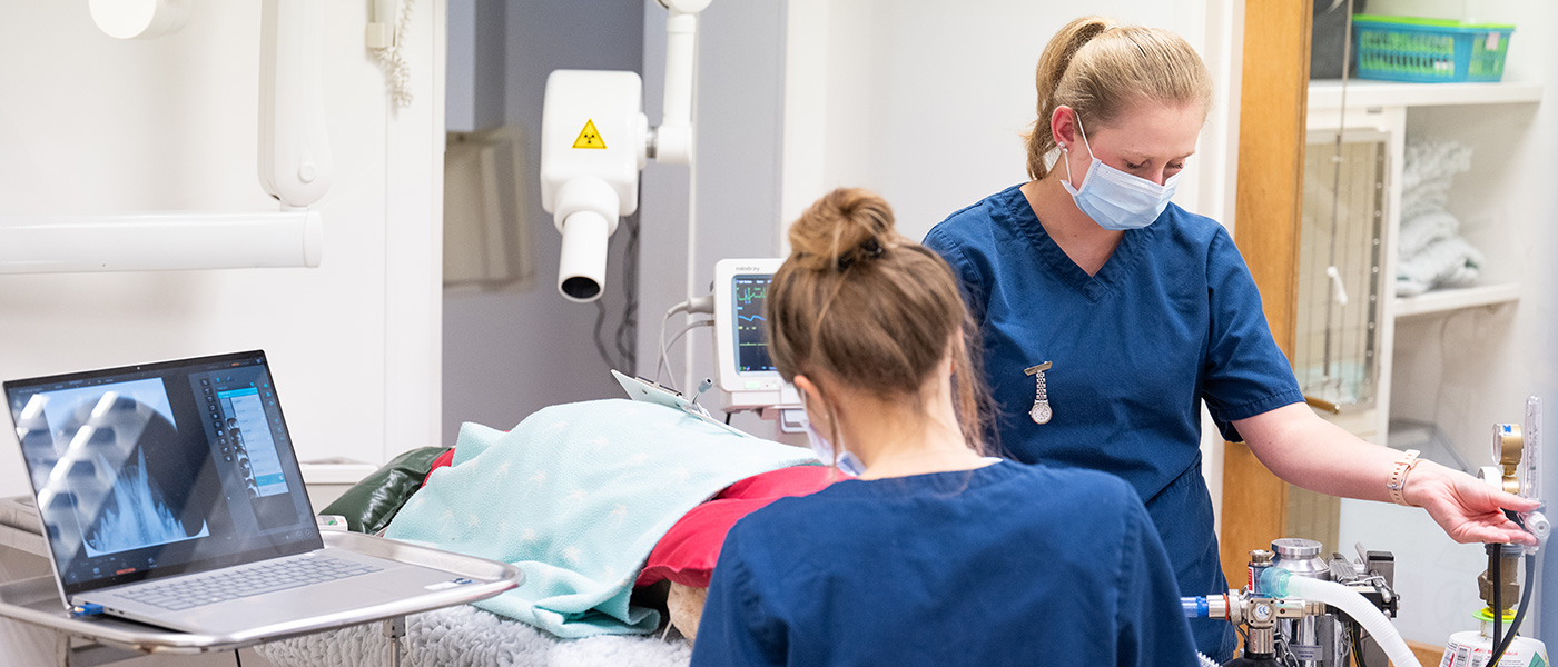 Pre Operative Care Info