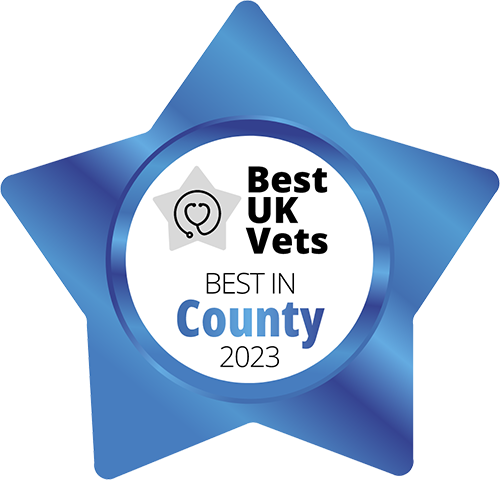 Best Vet In Dorset Award