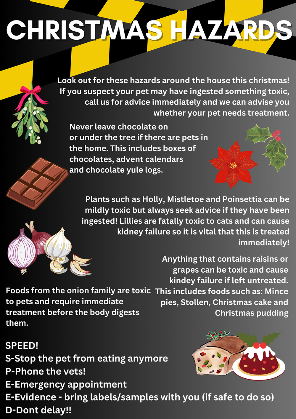 Christmas Hazards For Pets